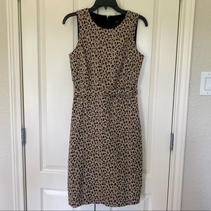 LIKE NEW J.Crew Leopard Sheath Dress